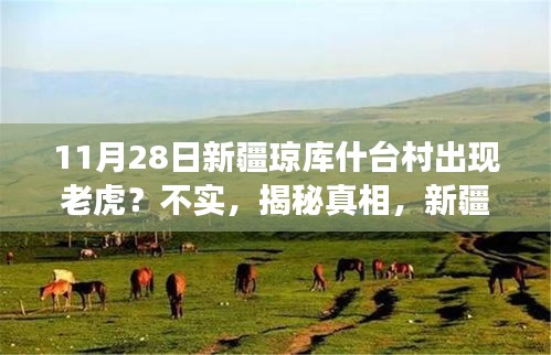 新闻中心 第428页