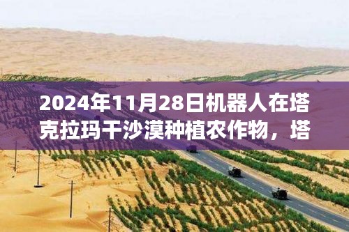 第2556页