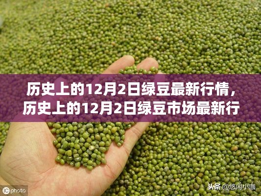 天南地北 第5页