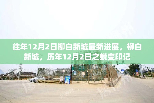 心慌意乱 第5页