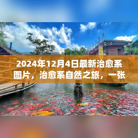 屦贱踊贵 第4页