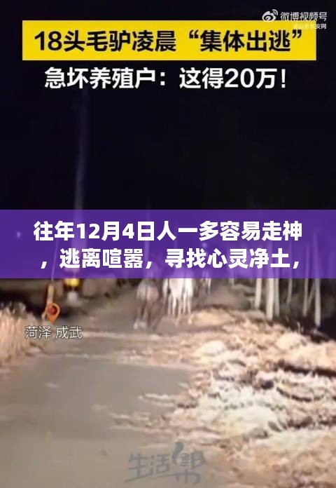 眼空四海 第4页