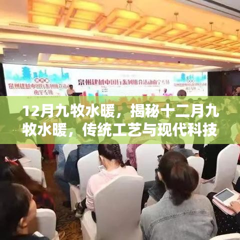 集思广益 第4页