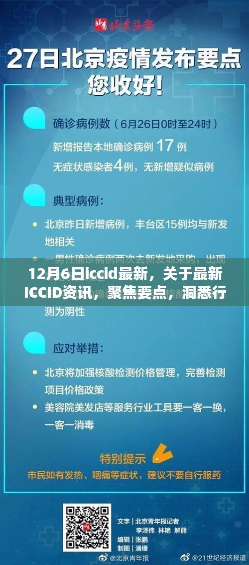 望其项背 第4页