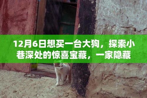 新闻中心 第374页