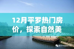 纲举目张 第4页