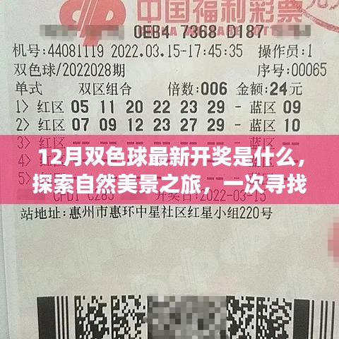 难得可贵 第4页