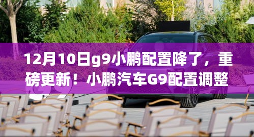 拾金不昧 第5页