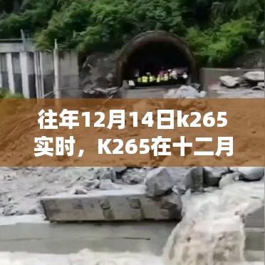 回望历史轨迹，K265在十二月十四日的实时影响与地位分析