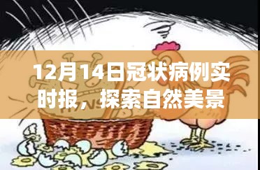 自然美景治愈之旅