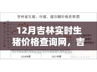 善始善终 第4页