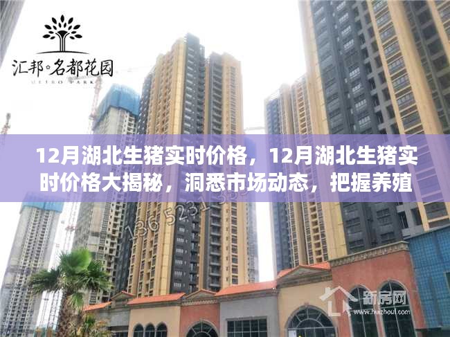鬼张鬼智 第3页