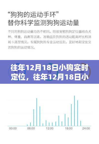 全面评测与介绍