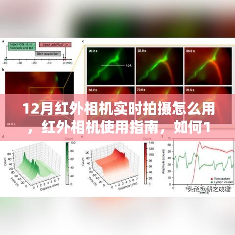 屦贱踊贵 第3页