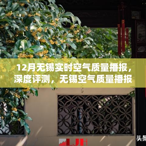 鸟吏鳖官 第3页