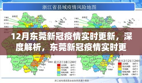 深度解析与评测