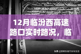 物以稀为贵 第3页