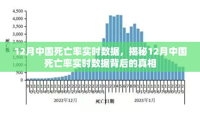 祖道供张 第3页