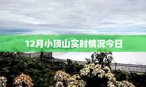 丰容盛鬋 第4页