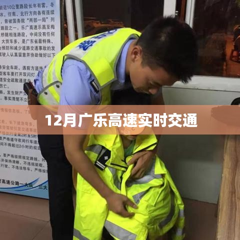 飞禽走兽 第3页