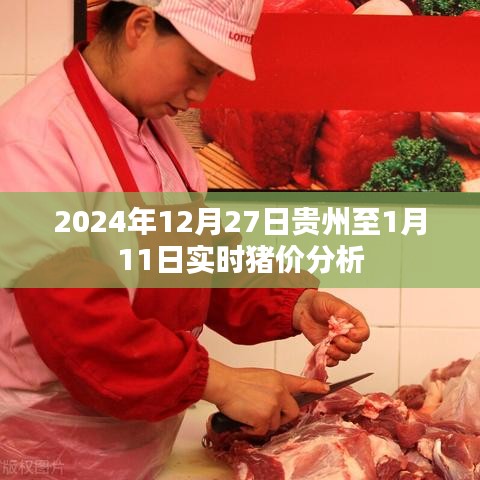 2024年预测