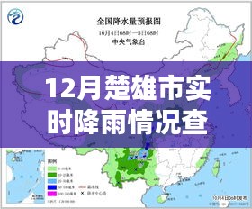 鸟惊鼠窜 第2页