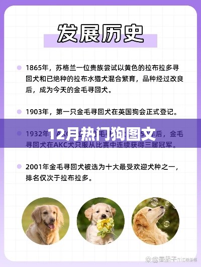 2025年1月 第590页