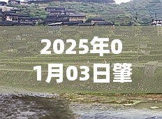 日期标注