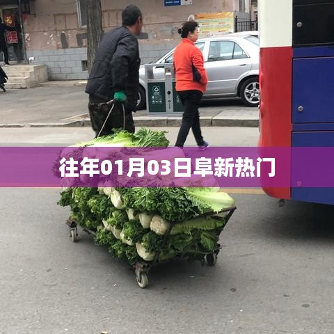 逆风飞扬 第3页