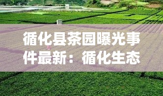 火伞高张 第2页