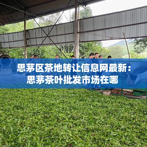 玉树临风 第3页