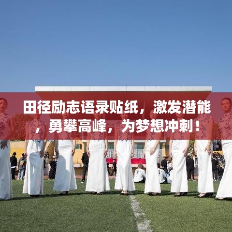 澹泊明志 第2页