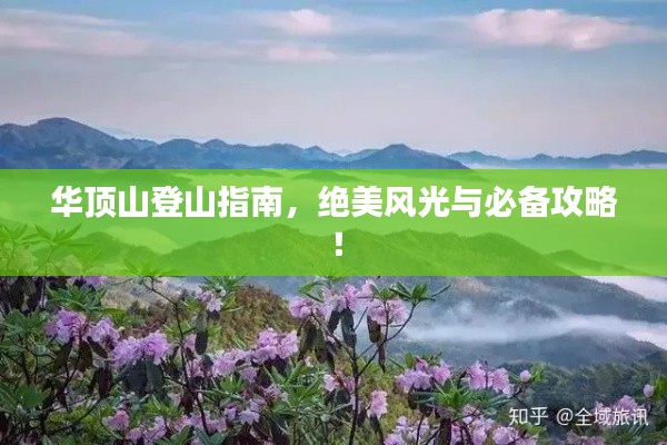 2025年1月 第230页