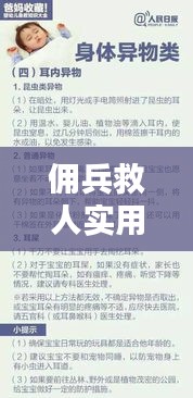 2025年1月 第217页