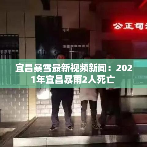 2025年1月 第207页