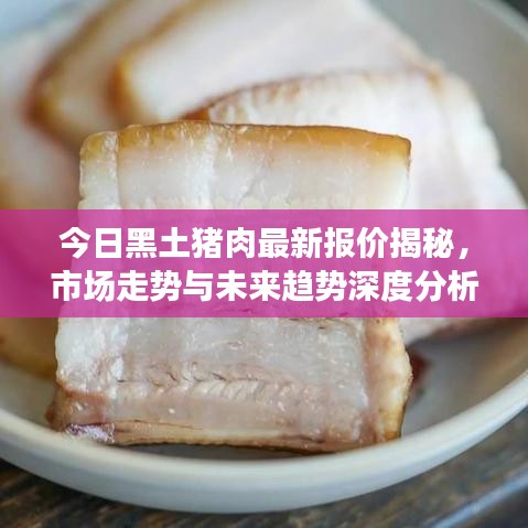 2025年1月 第206页