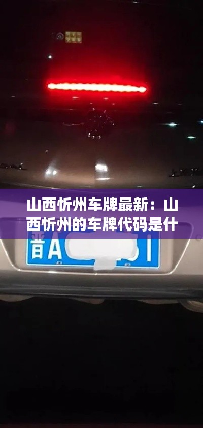 2025年1月 第204页