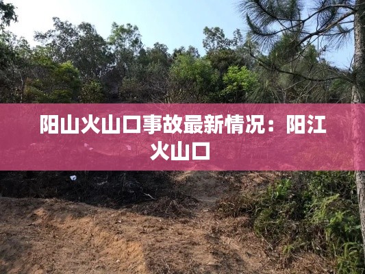 2025年1月 第203页