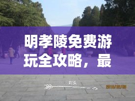 2025年1月 第188页