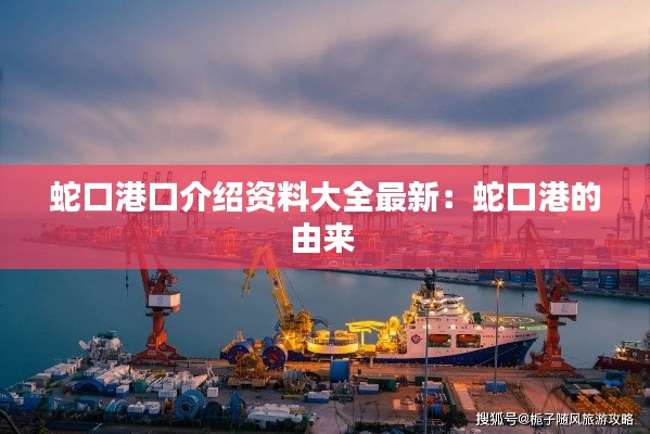 眼空四海 第2页
