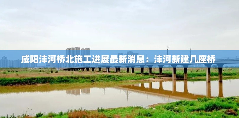 丰容盛鬋 第3页