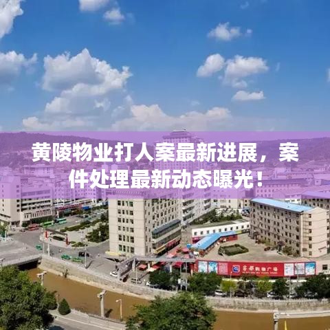 张弛不定 第2页