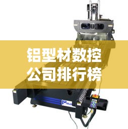 丢三落四 第2页