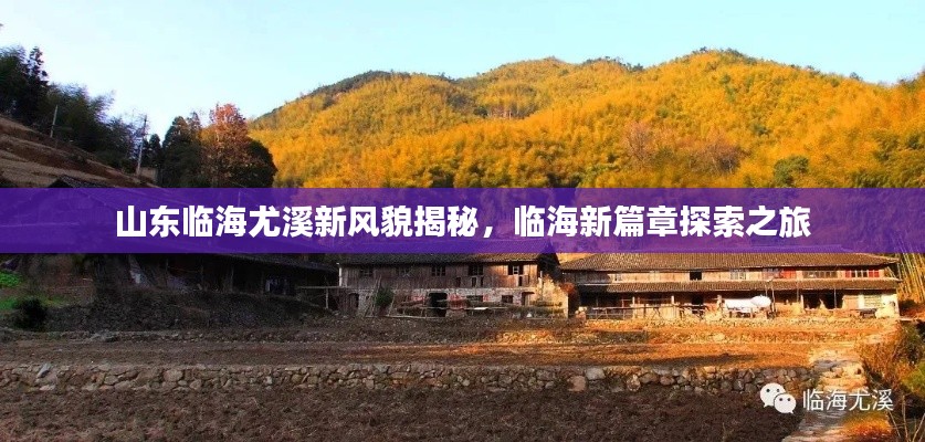 飞墙走壁 第2页