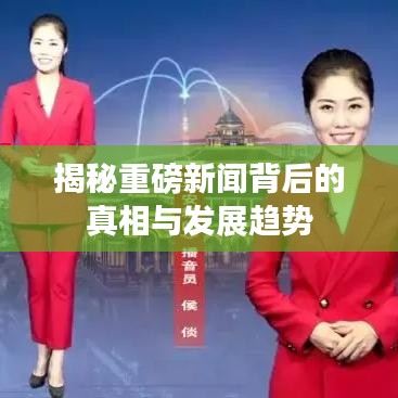 2025年1月 第61页