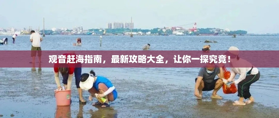 望其项背 第2页