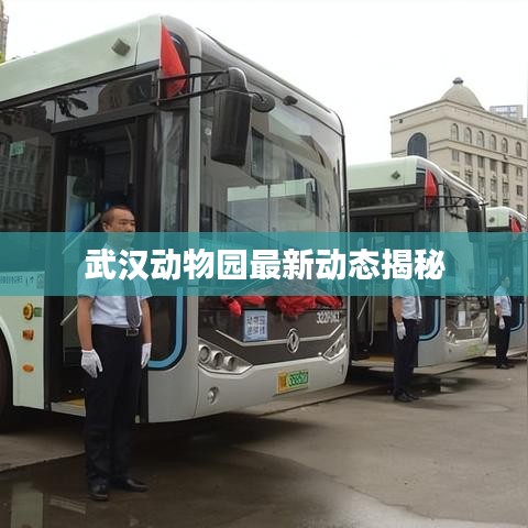 2025年1月 第36页