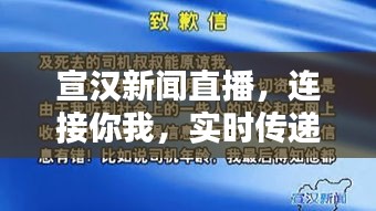 雍容雅步 第2页