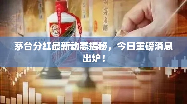 2025年1月 第19页