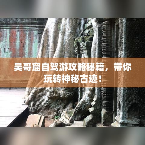 2025年1月 第18页
